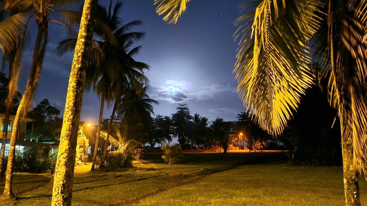 Wildlife Art Tortuguero Hotel ภายนอก รูปภาพ