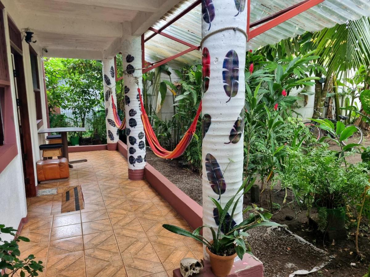 Wildlife Art Tortuguero Hotel ภายนอก รูปภาพ
