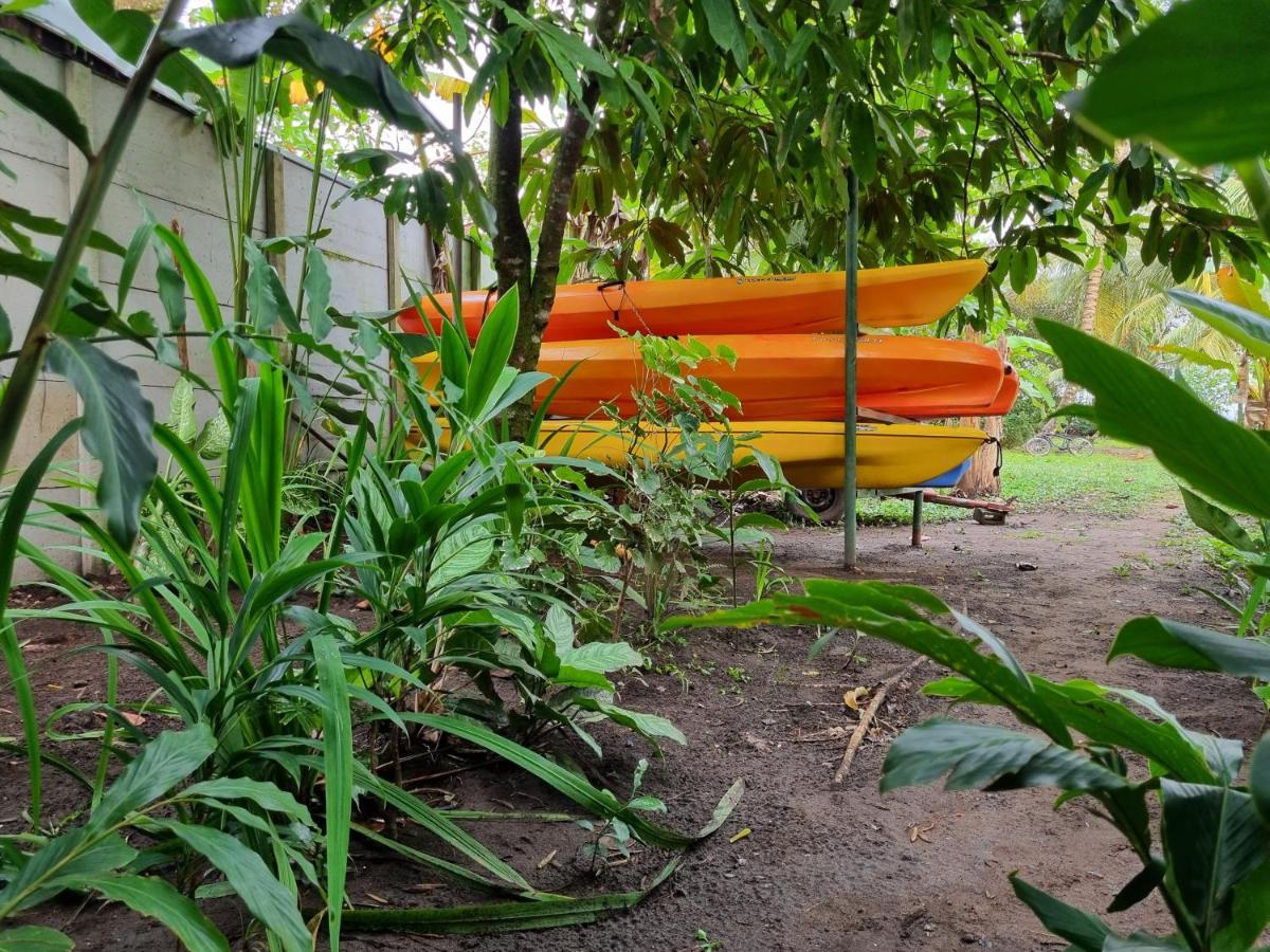 Wildlife Art Tortuguero Hotel ภายนอก รูปภาพ