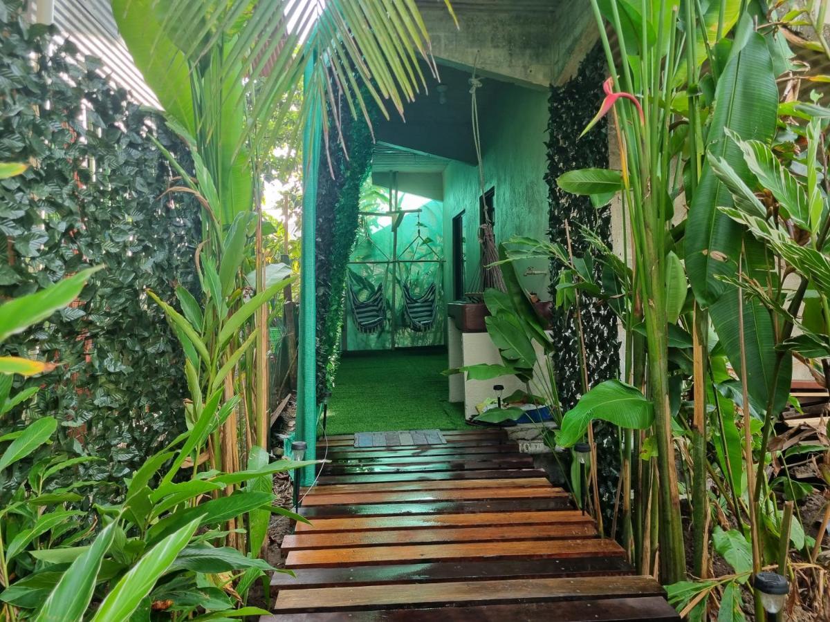 Wildlife Art Tortuguero Hotel ภายนอก รูปภาพ