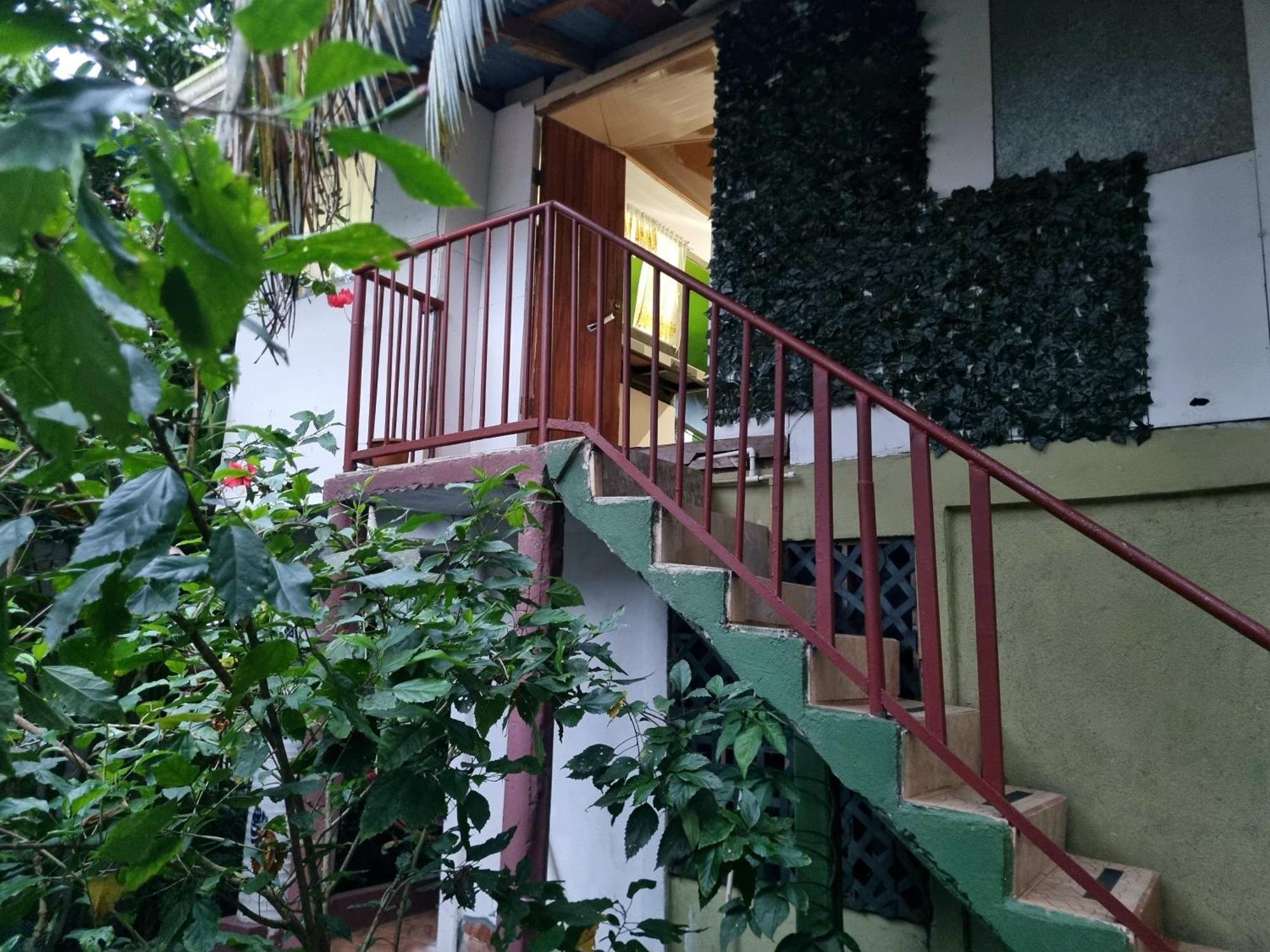 Wildlife Art Tortuguero Hotel ภายนอก รูปภาพ
