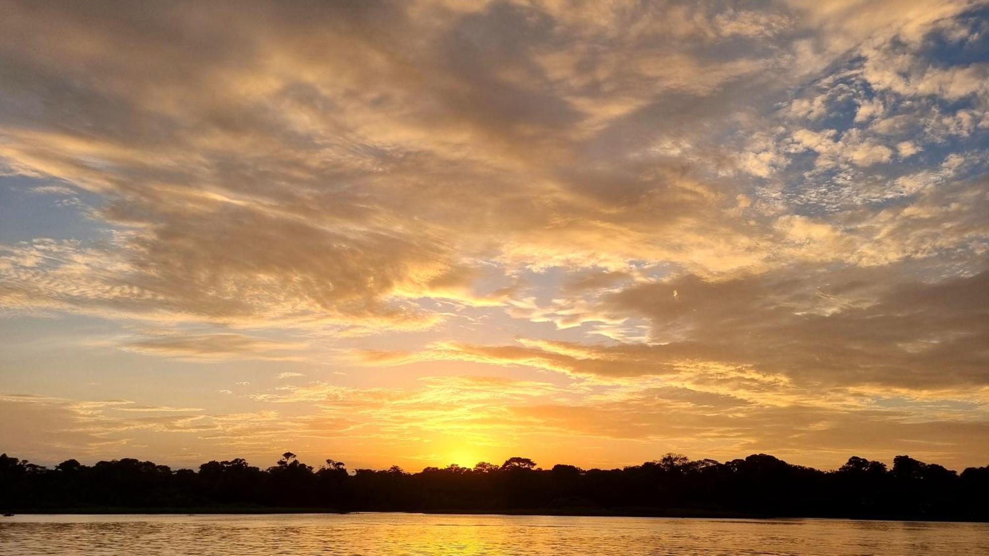 Wildlife Art Tortuguero Hotel ภายนอก รูปภาพ