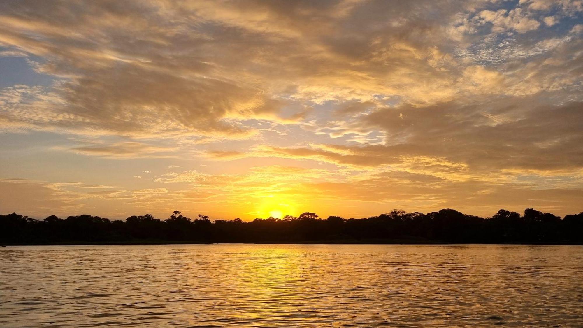 Wildlife Art Tortuguero Hotel ภายนอก รูปภาพ