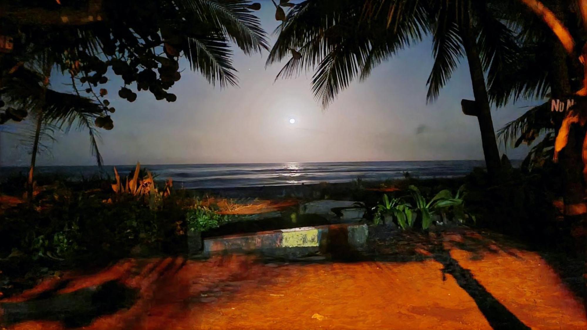 Wildlife Art Tortuguero Hotel ภายนอก รูปภาพ