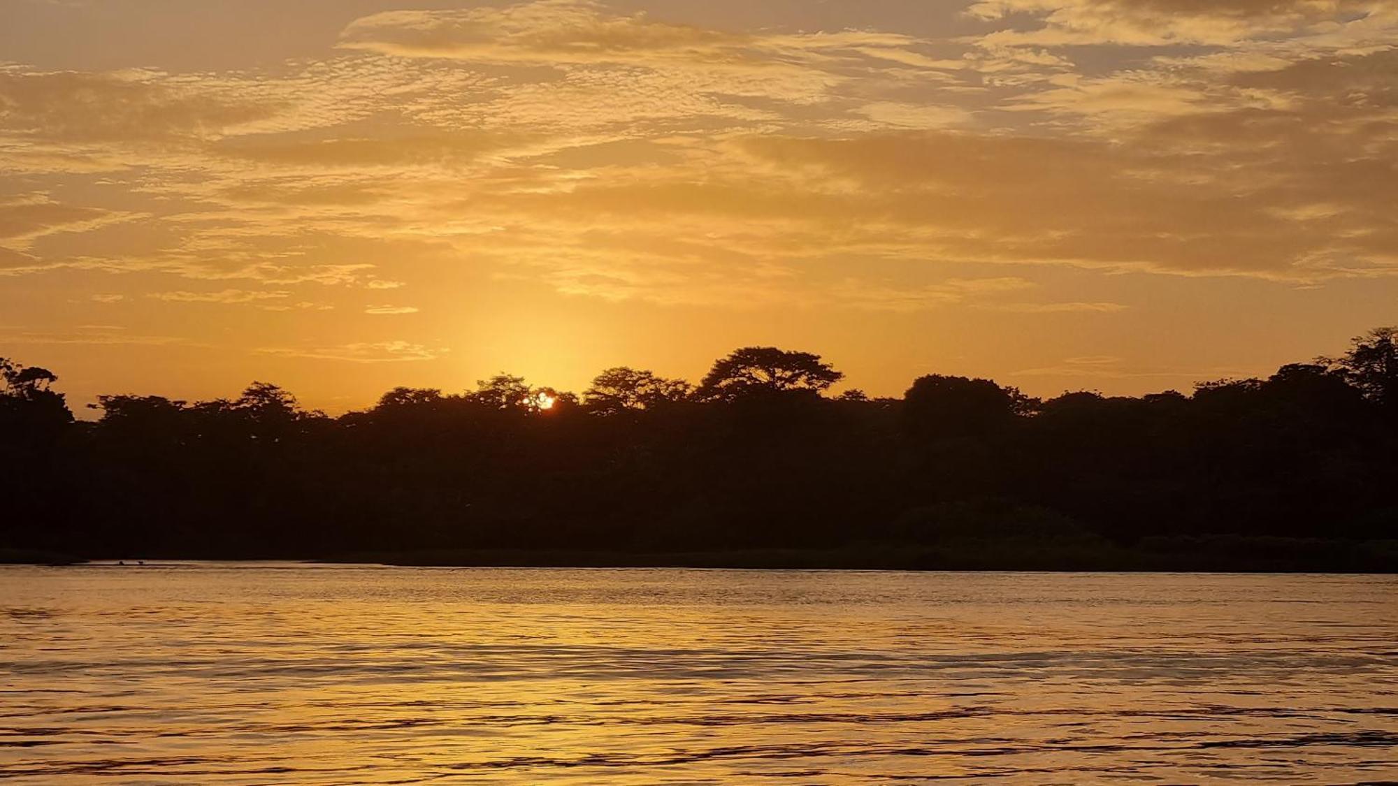 Wildlife Art Tortuguero Hotel ภายนอก รูปภาพ