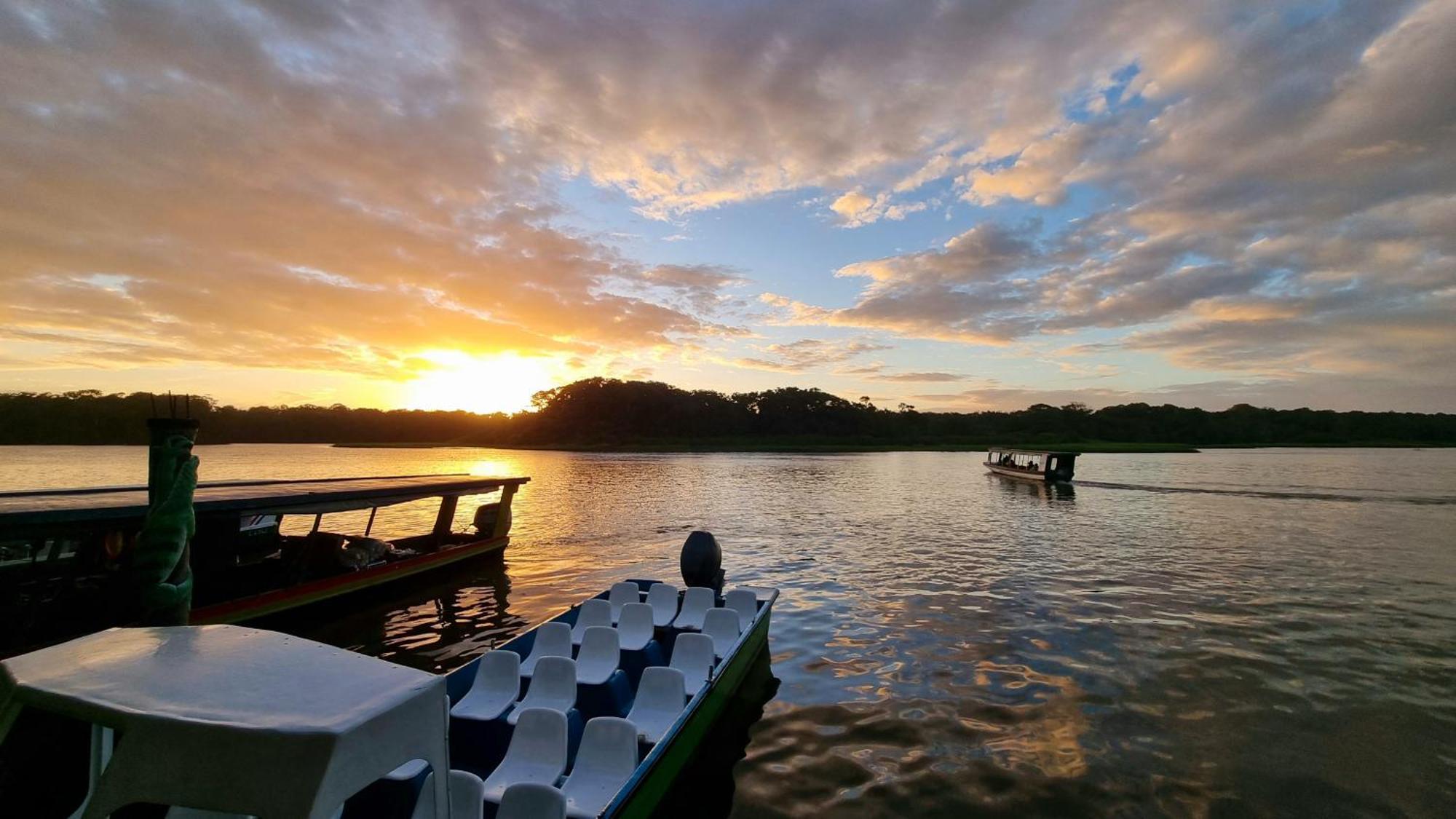 Wildlife Art Tortuguero Hotel ภายนอก รูปภาพ