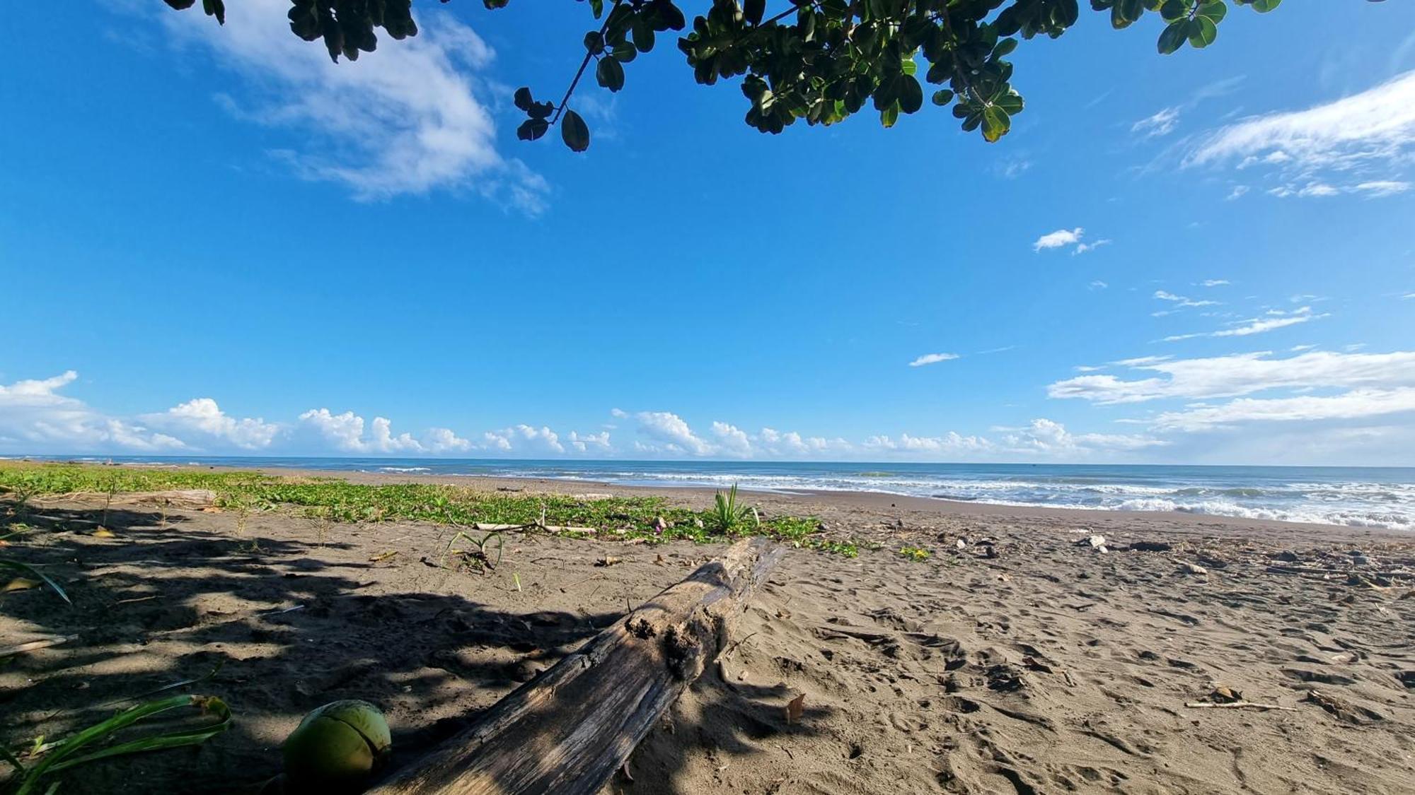 Wildlife Art Tortuguero Hotel ภายนอก รูปภาพ