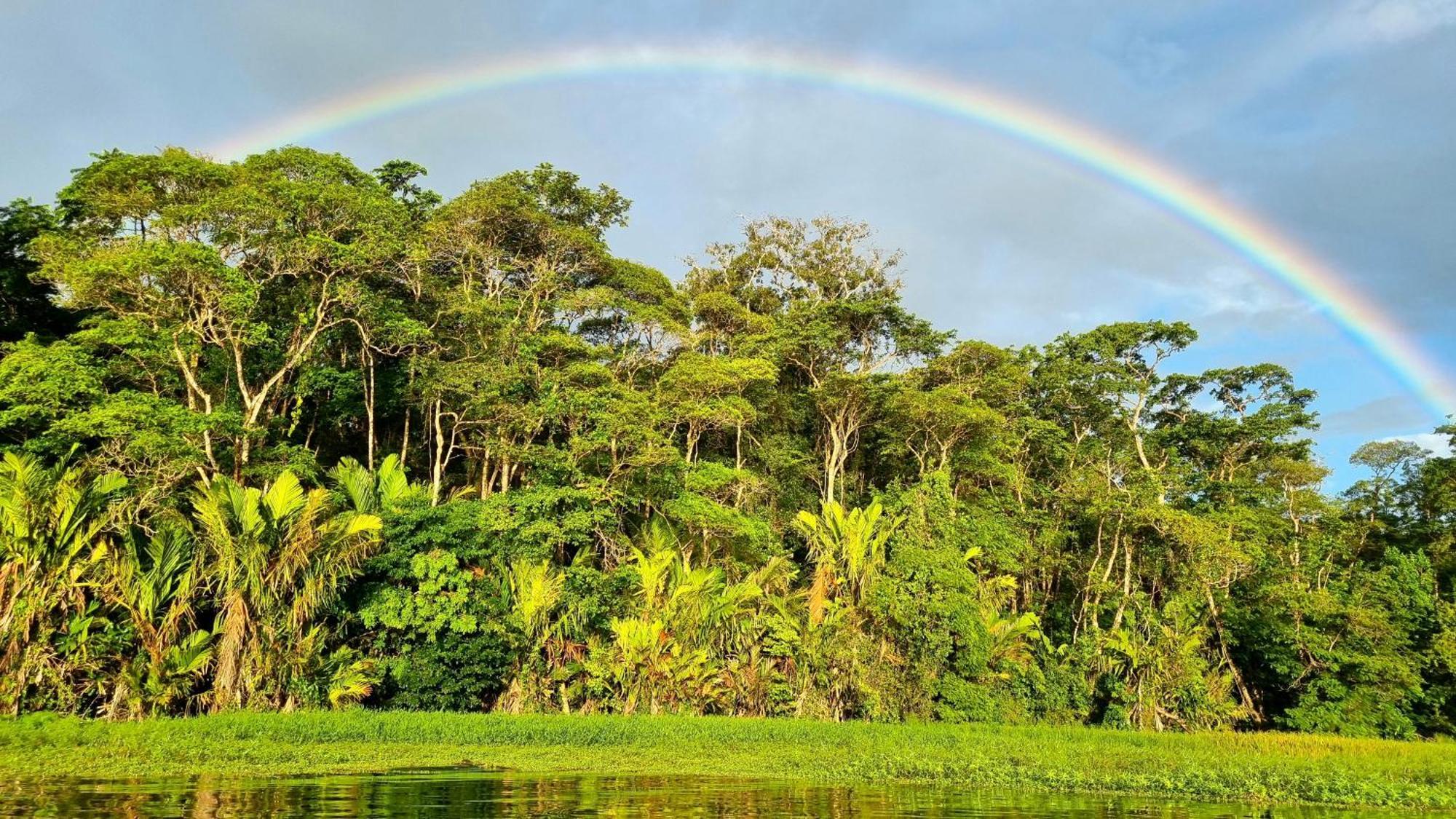 Wildlife Art Tortuguero Hotel ภายนอก รูปภาพ